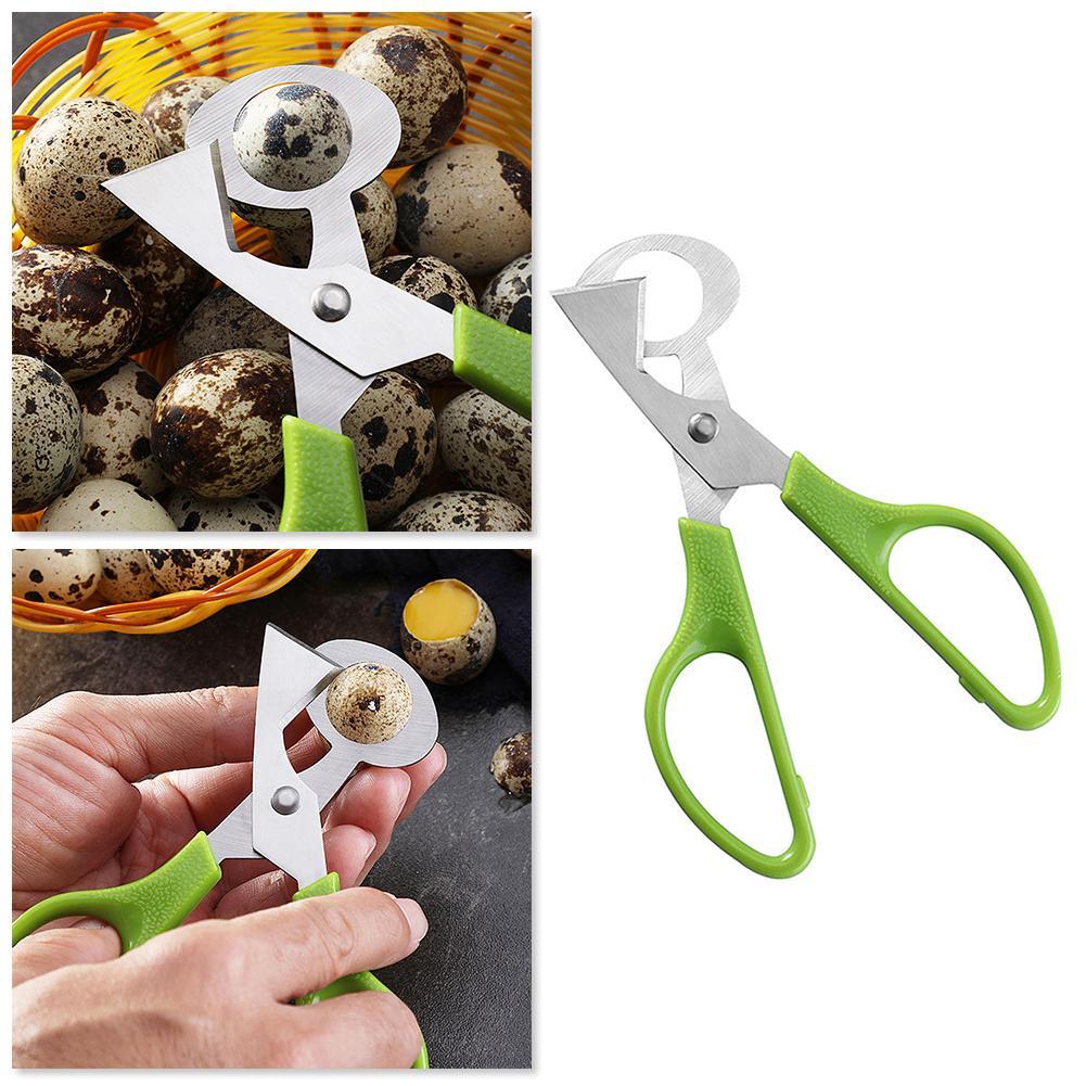 Pigeon caille fissure ouverte  - Egg Separator Tool avis et prix