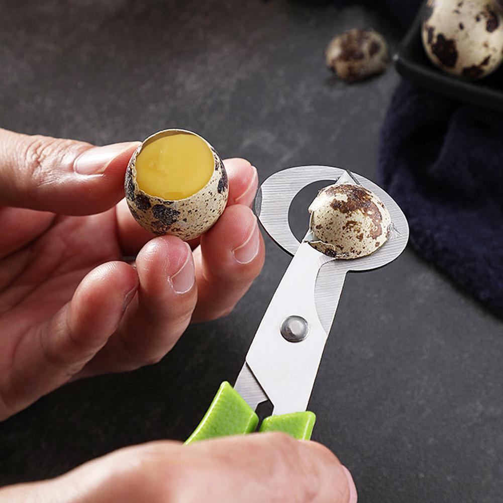 Pigeon caille fissure ouverte  - Egg Separator Tool avis et prix